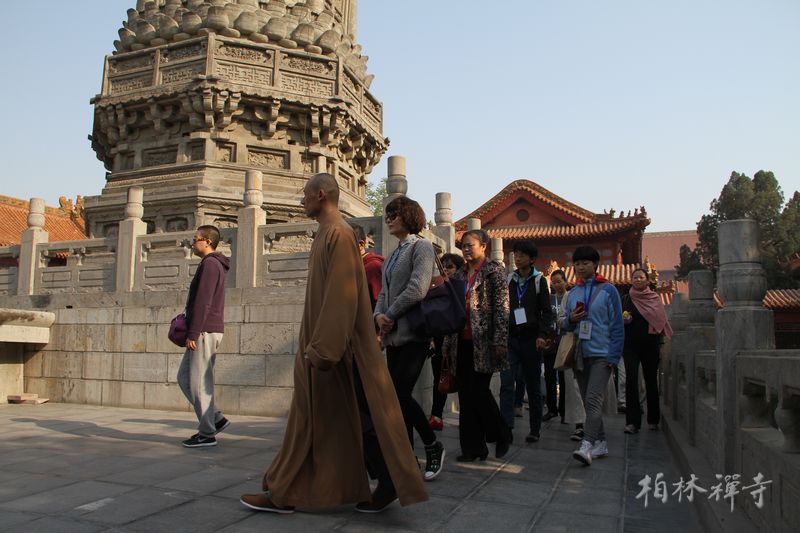 1434507051118759.jpg 01.jpg