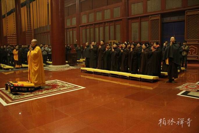 1434581939604123.jpg 01.jpg