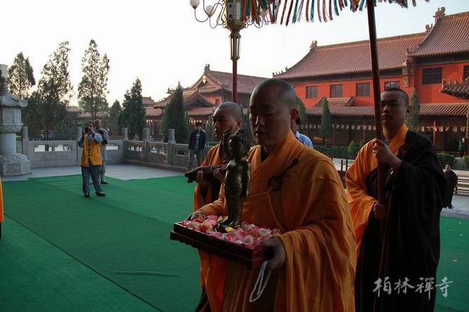 1434620779466507.jpg S.jpg