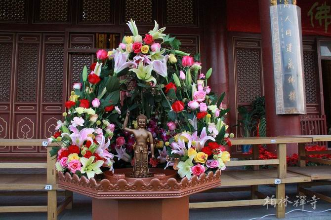 1434620807816398.jpg 01.jpg