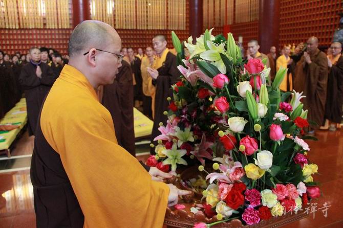 1434620819136040.jpg 03.jpg