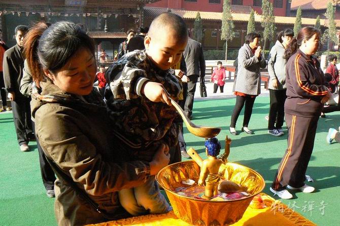 1434620854784555.jpg 08.jpg