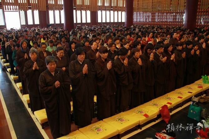 1434620905104790.jpg 07.jpg