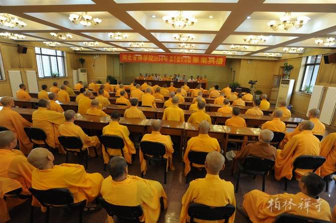 1434674708117257.jpg 06.jpg