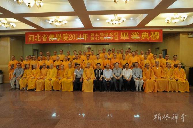 1434675163119056.jpg 10.jpg