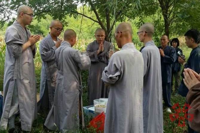 1434678415115376.jpg 09.jpg