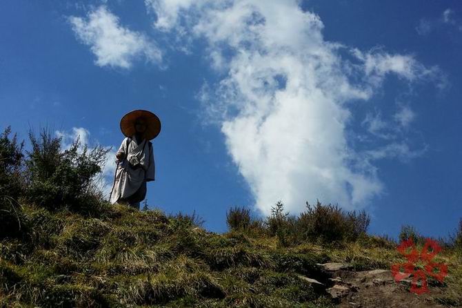 1434678462720308.jpg 11.jpg