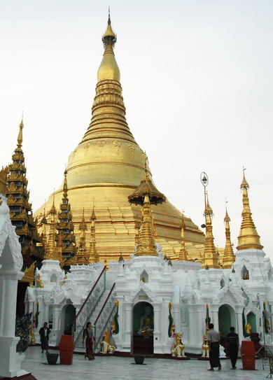 1436956430302212.jpg djt-1.jpg