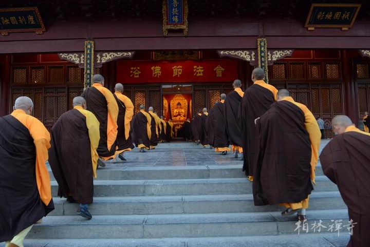 1440199277134061.jpg 1434531993111839.jpg