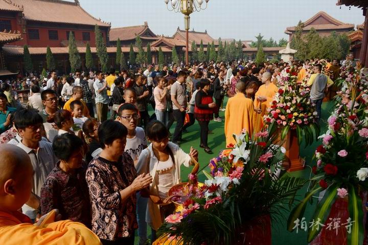 1440199322974196.jpg 1434532177693414.jpg