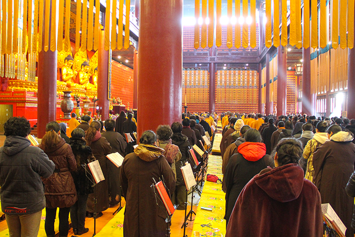 1456188962129521.jpg IMG_2705.JPG