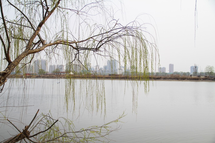 1458644934892909.jpg IMG_7395.JPG