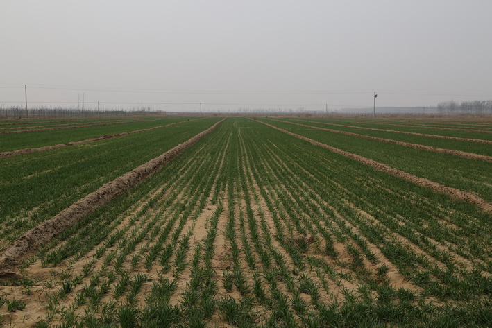 1458644975470982.jpg 6C4A1544第一.JPG