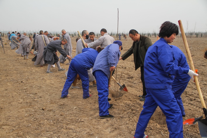 1458645023151084.jpg IMG_7028第二二.JPG