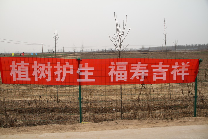 1458645043130876.jpg IMG_7281第三二.JPG