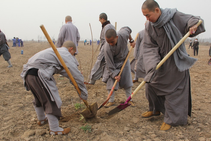 1458645083100371.jpg IMG_3896.JPG