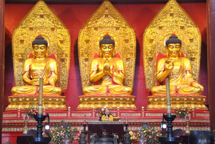 1459082740160852.jpg IMG_8910_调整大小.JPG