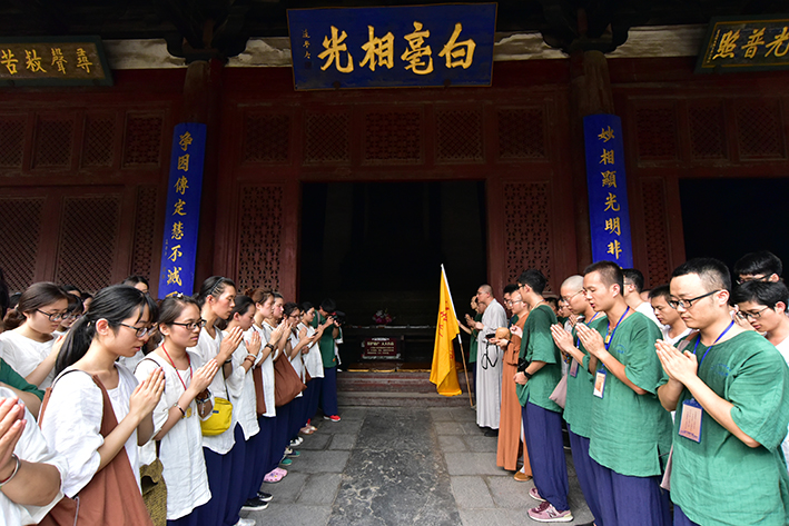 1469412842117252.jpg DSC_3365x.jpg