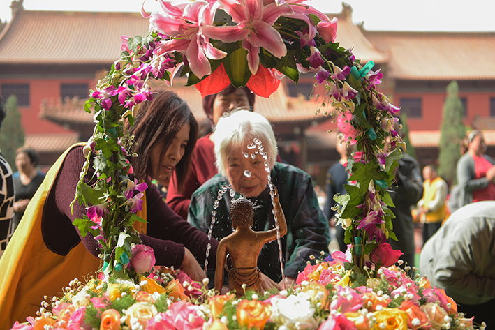 1493805537653480.jpg DSC_7282.JPG