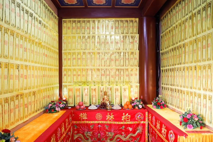 1649169059633686.jpg _84A5890 拷贝【修】709.jpg